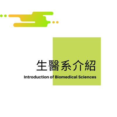 系所介紹